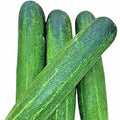 Cucumber