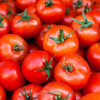 Tomato 1 kg