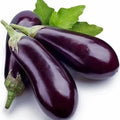Brinjal 1kg